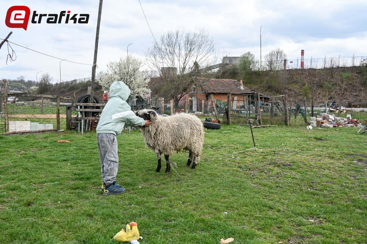lukavac zagadjenje romsko naselje foto ajdin kamber 19