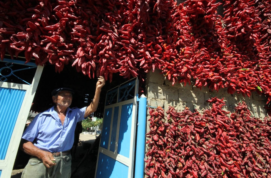 Paprika na sto načina iz leskovačkih sela
