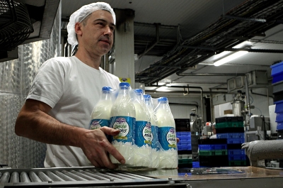 Nestašica mleka u Srbiji: Otkupne cene niske, isplate kasne